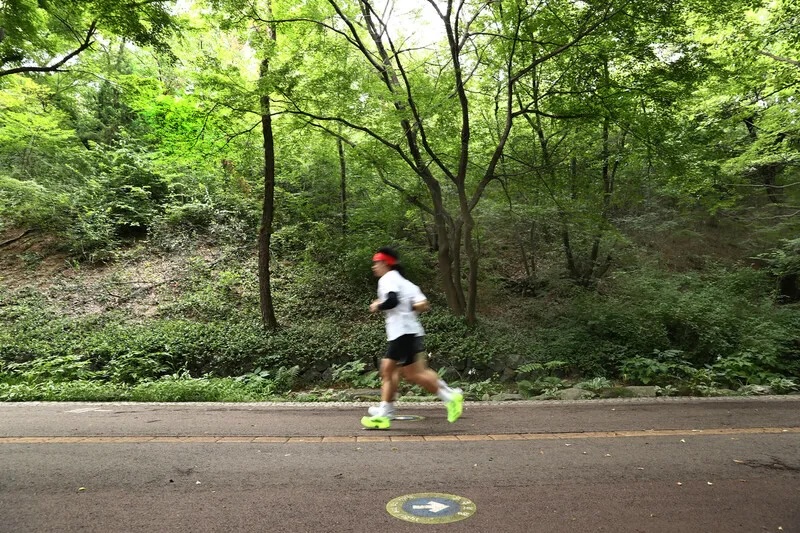 그늘길을 달리는 러너
